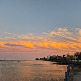 20241124_161924-standard.jpg