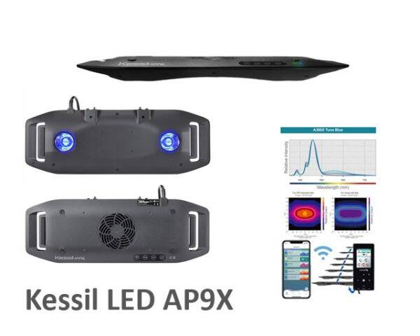 Kessil LED AP9X