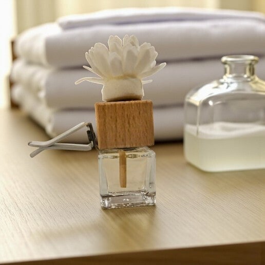 I just cleaned - Car air vent diffuser