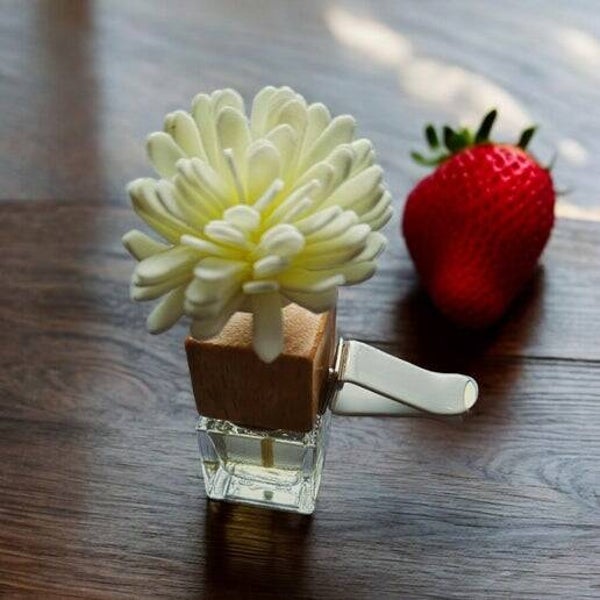 Strawberry & champagne - Car air vent diffuser