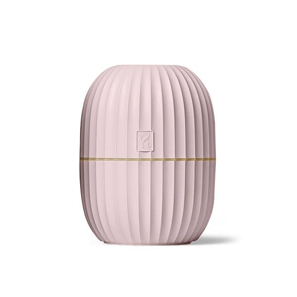 Pink cactus diffuser