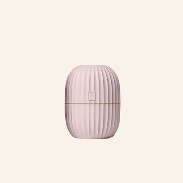Cactus Diffuser - Pink