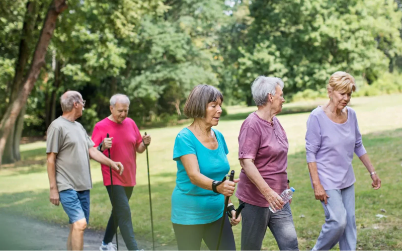 Café De KnuffelCactus