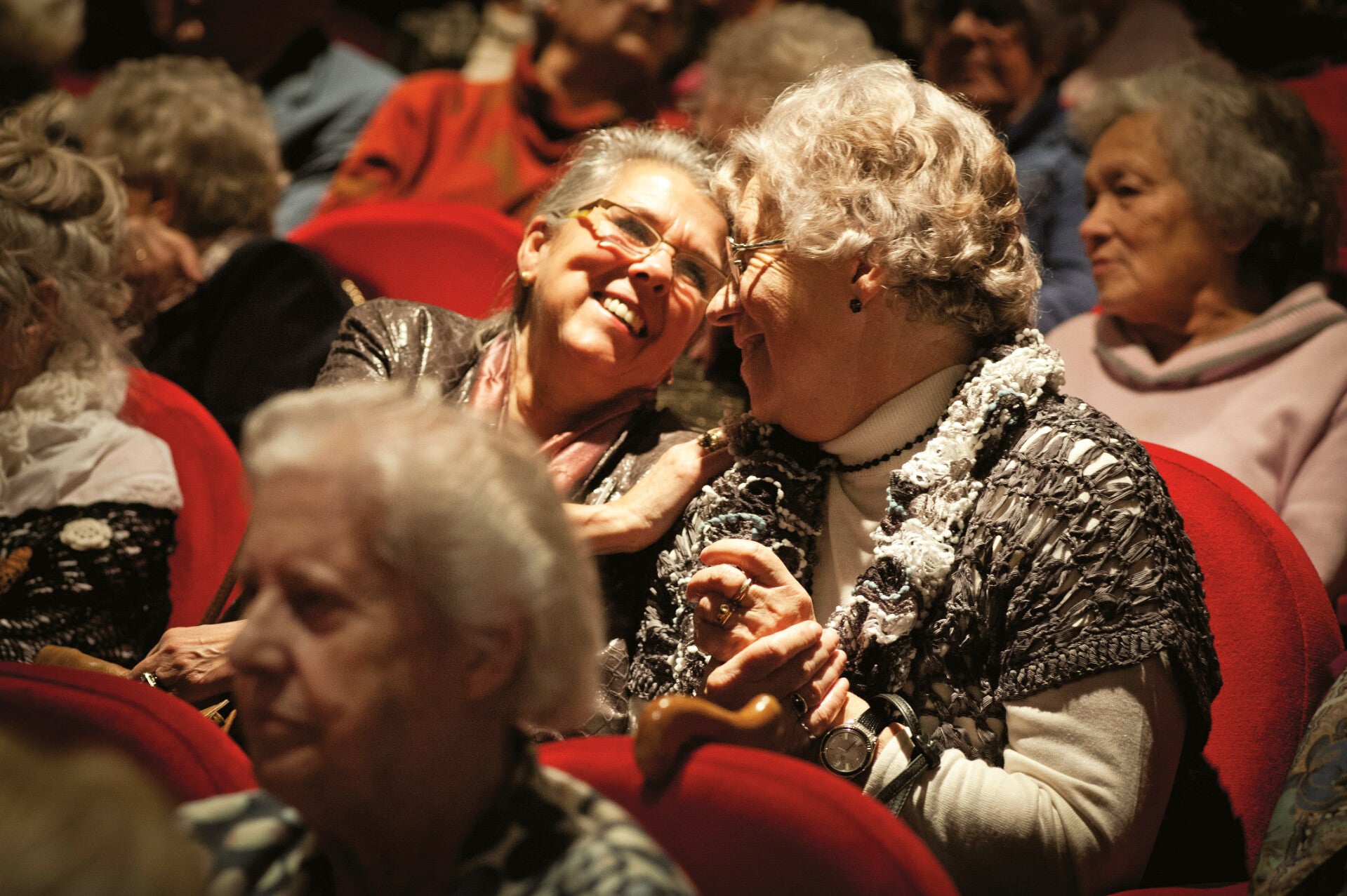 Café De KnuffelCactus