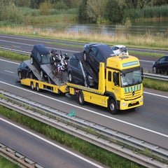 img_0220-standard-rvqg9w.jpg