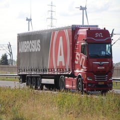 img_1181-standard-ez1lq5.jpg