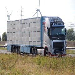 img_1220-standard-bui16y.jpg