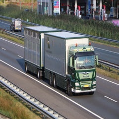 img_1370-standard-tpokt4.jpg