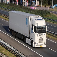 img_1379-standard-lf8f2d.jpg