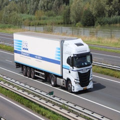 img_2061-standard-lmjs1m.jpg