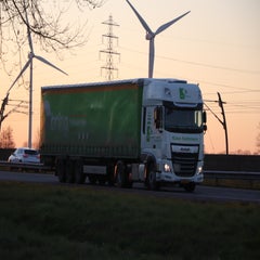 img_3467-standard-sj3z2p.jpg