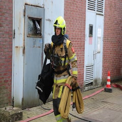 img_3708-standard.jpg