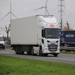img_5461-standard-p5fwe5.jpg