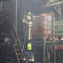 img_6296-standard-ujvglz.jpg