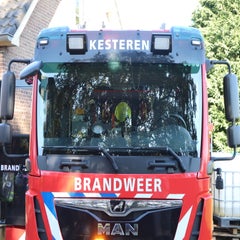 img_6390-standard.jpg