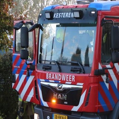 img_7414-standard-2zsdun.jpg