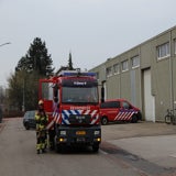 IMG_8131.jpg
