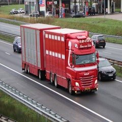 img_1109-3.jpg