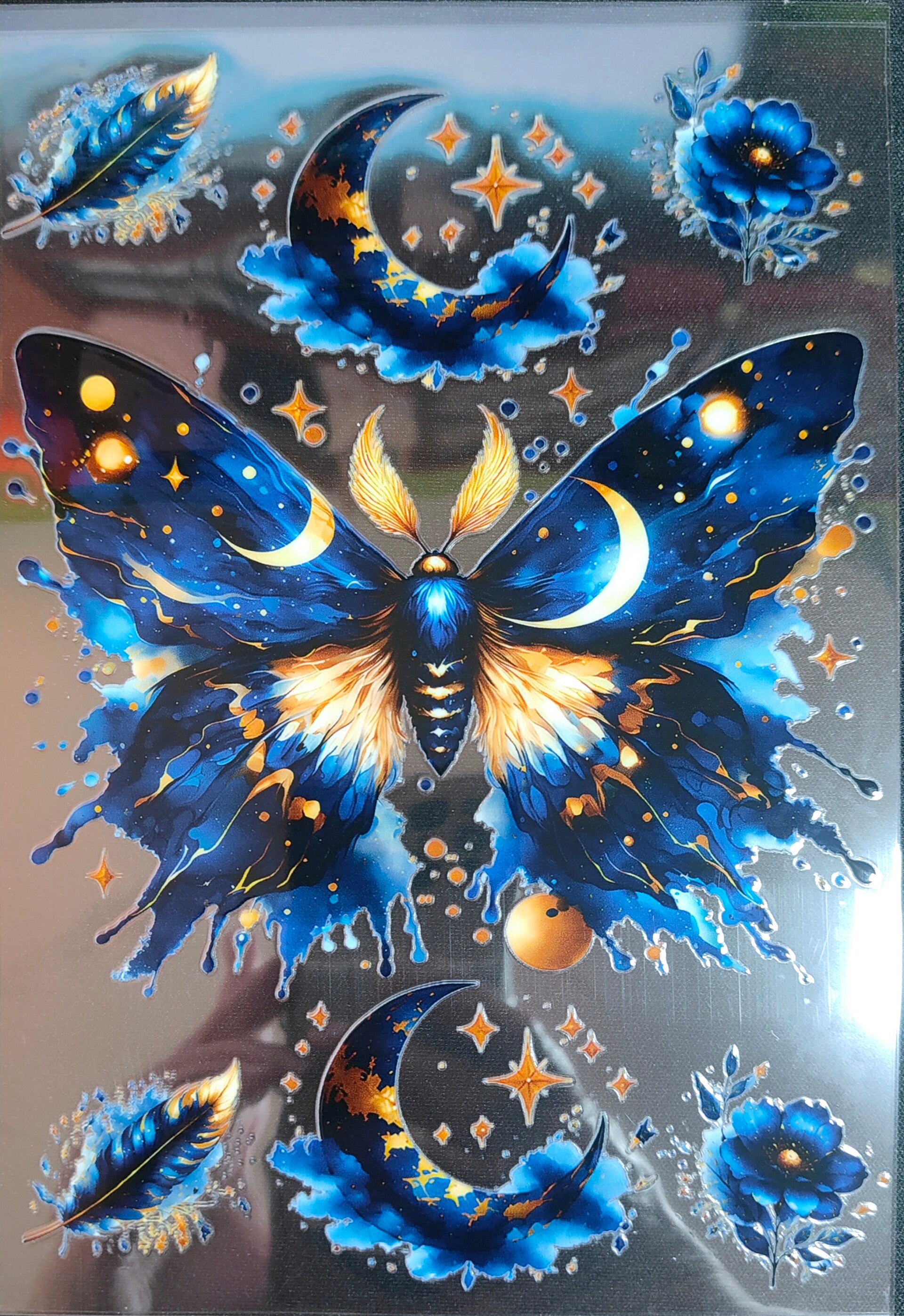 Butterfly