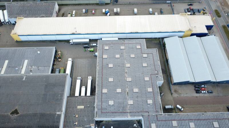 1-standard-sqh2q2.jpg