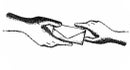 Passing Notes