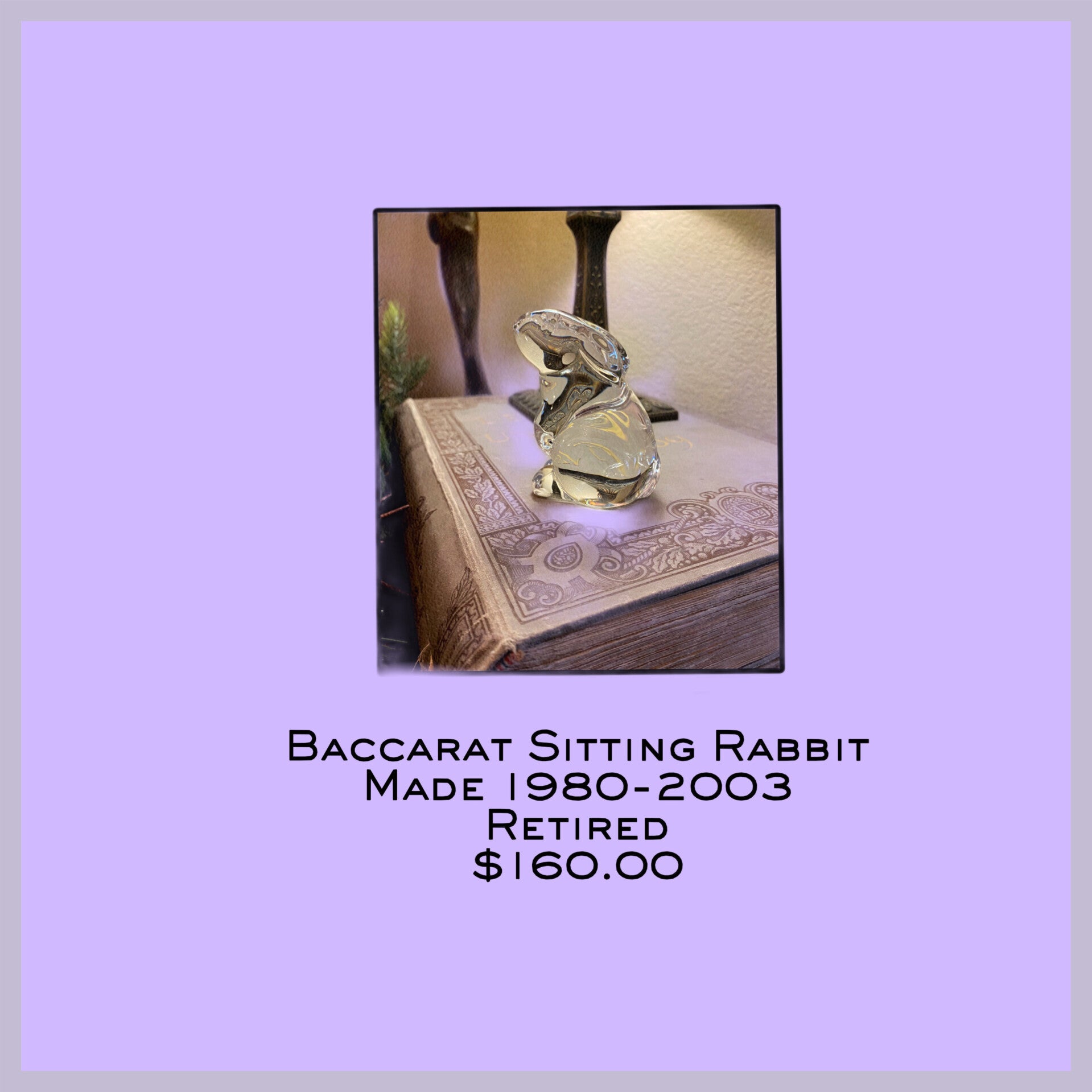Baccarat Hare