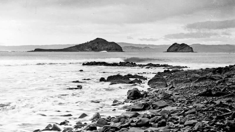 The twin islands of Tuamotu and Puakaiwai can still be seen in this photograph by William Crawford not long after the commencement of mining operations on both islands in the late 1880s.