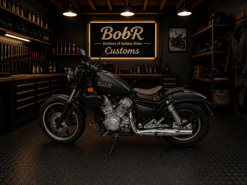 Kawa VN750 Bobr-project.png
