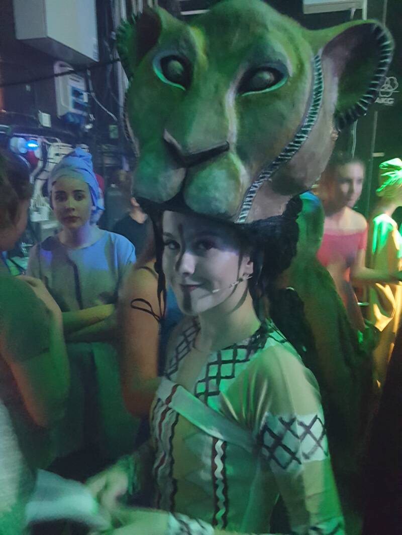 hodemaske-lion-nala-scenebilde.jpg