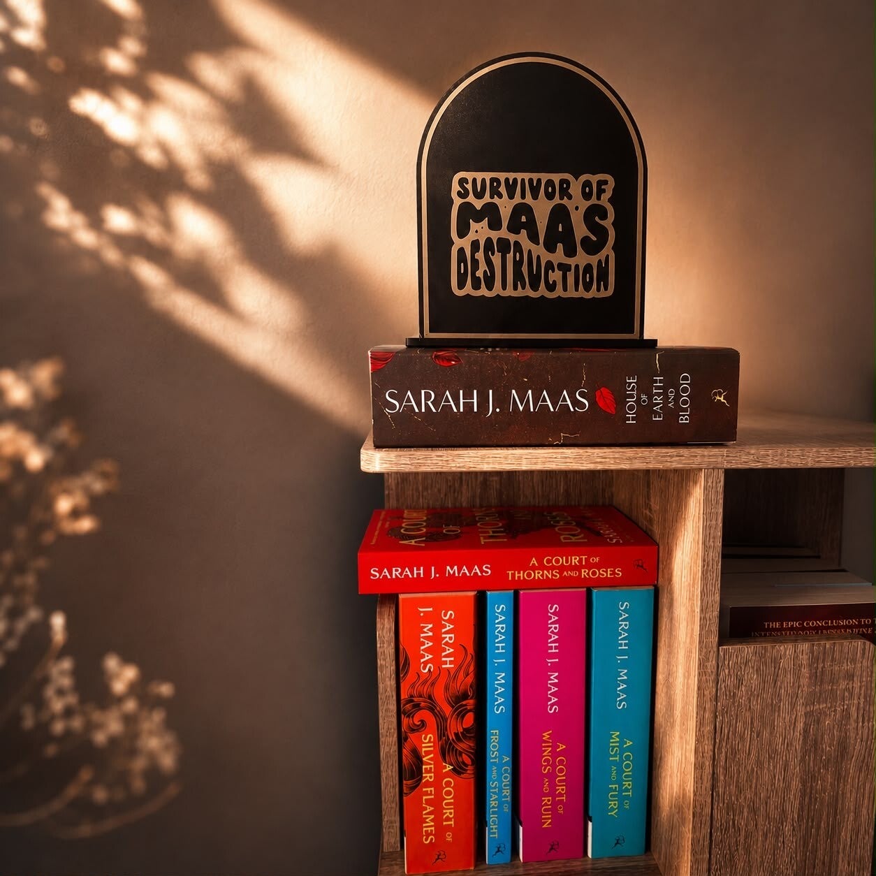 Booknook ‘Acotar’