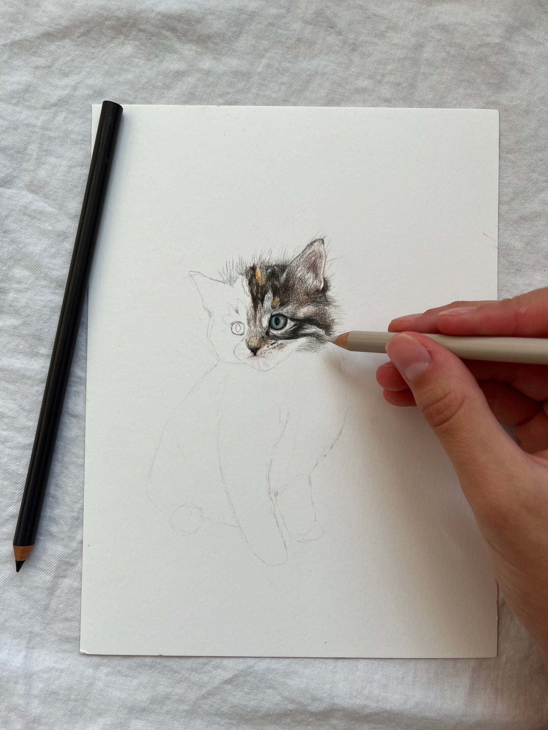 Custom colored pencil/watercolor drawing 9x12 in