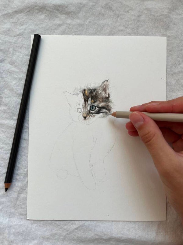 Custom colored pencil/watercolor drawing 6x8in