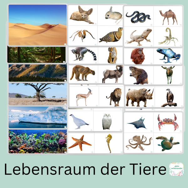 Welches Tier Lebt Am Längsten Lebensraum der Tiere | aktiv miteinander
