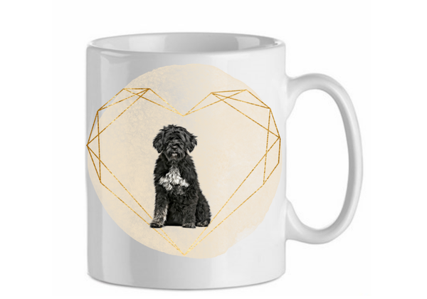 Portugese waterhond 4.1