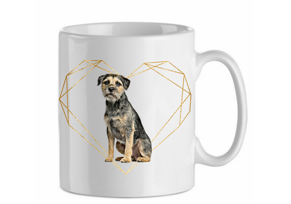 Border terrier 4.1