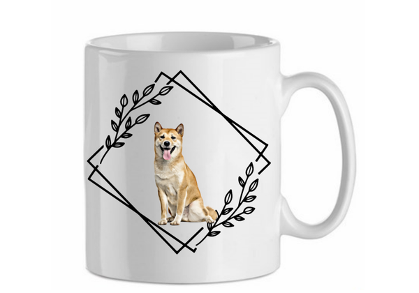 Shiba inu 6.1