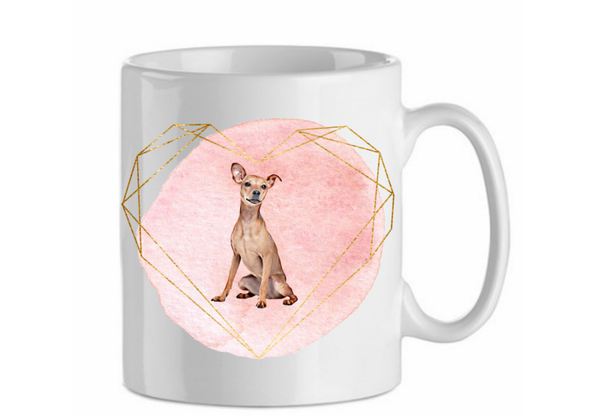 Mini pinscher 2.1
