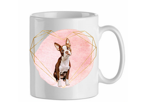 Boston terrier 2.1
