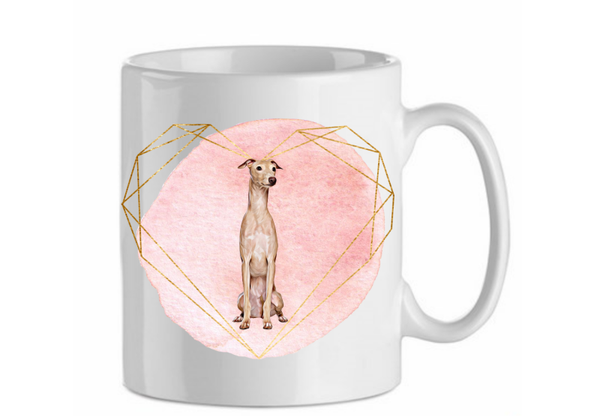 Italian greyhound 2.1
