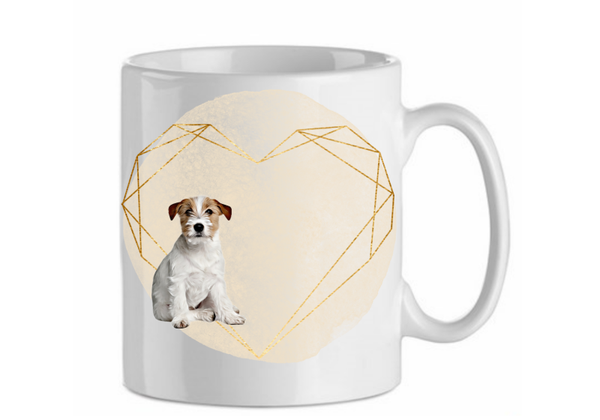 Jack russel 1.4