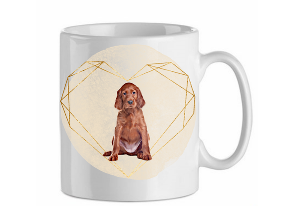 Ierse setter 1.5
