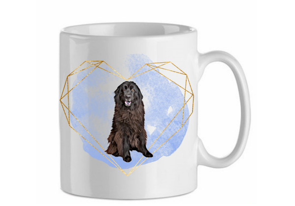 Newfoundlander 3.1