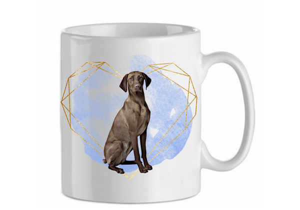 Germain shorthaired pointer 3.2