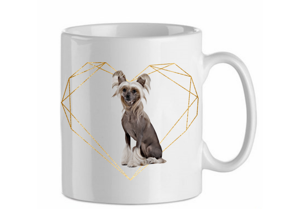 Chinese crested 4.5