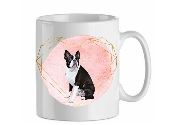Boston terrier 2.2