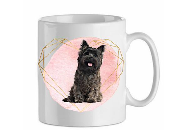 Cairn terrier 2.2