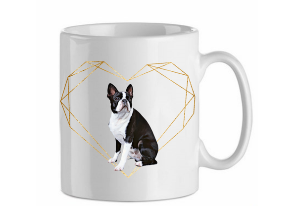 Boston terrier 4.2