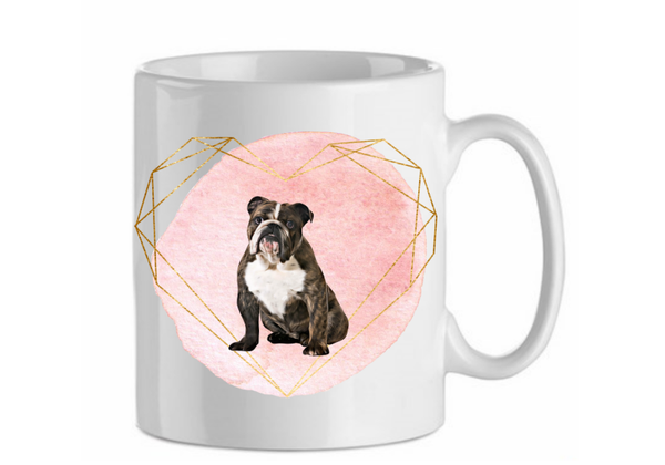 Engelse bulldog 2.2