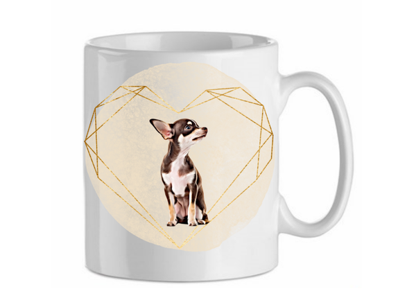 Chihuahua 4.2