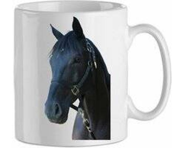 Zwart paard